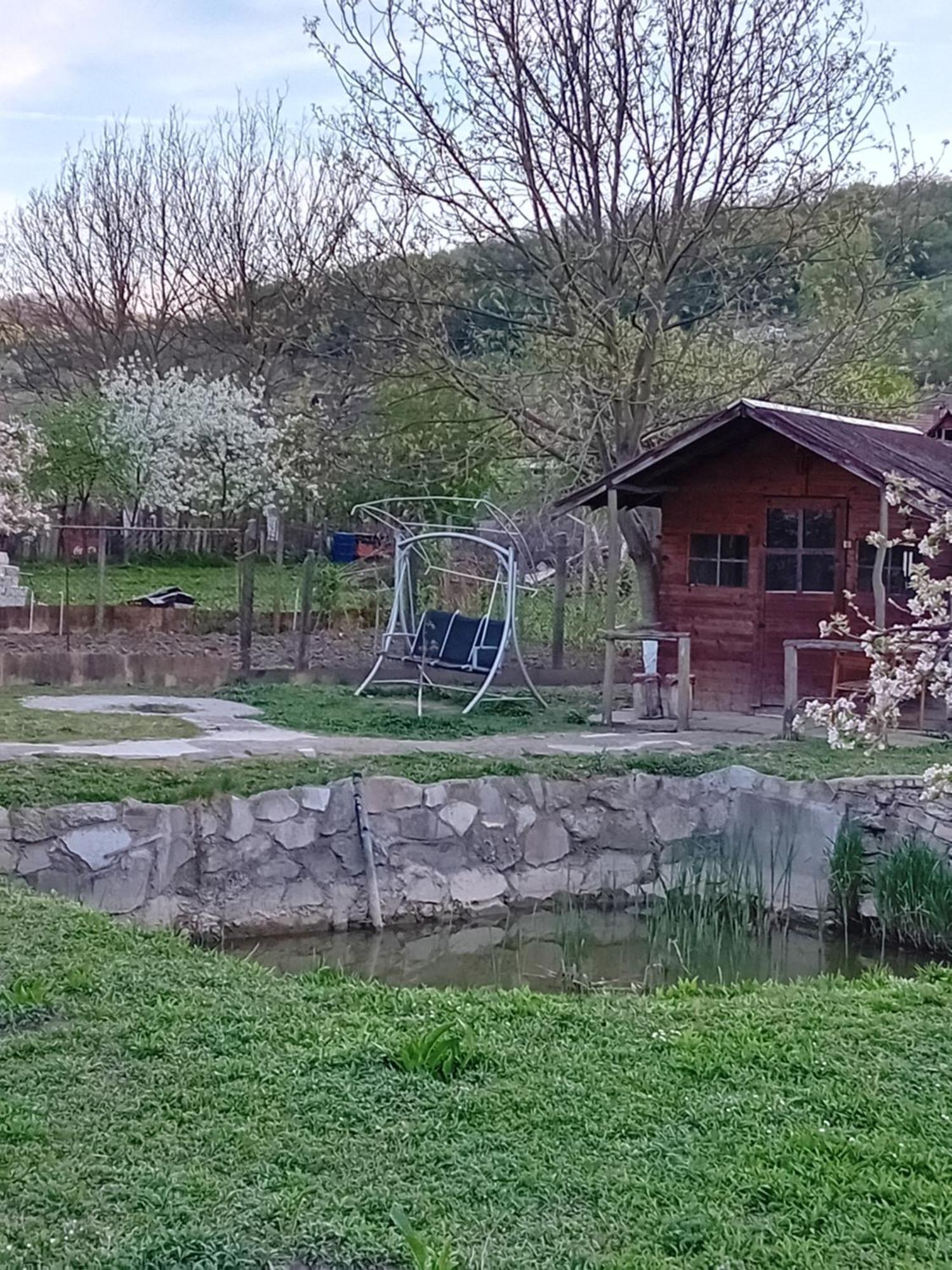 Modesta Apartment *